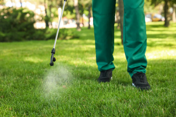Best Cockroach Control Services  in Charlottesville, VA
