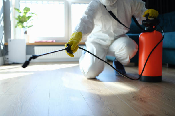 Best Rat Extermination Near Me  in Charlottesville, VA