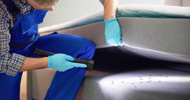 Best Emergency Pest Control  in Charlottesville, VA