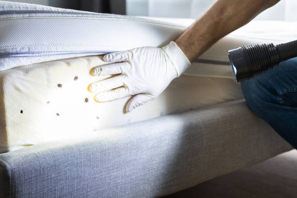 Best Pest Removal Services  in Charlottesville, VA