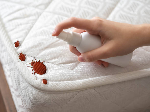 Best Exterminator Services  in Charlottesville, VA