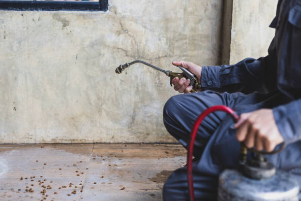 Best Best Pest Control Companies  in Charlottesville, VA