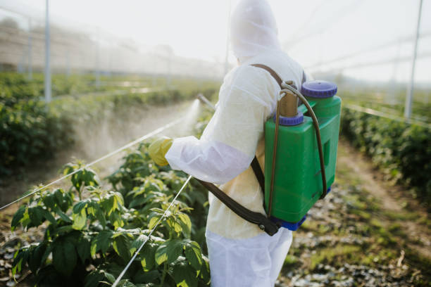 Best Residential Pest Control  in Charlottesville, VA